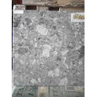 Ceramic Floor Gerasso 3