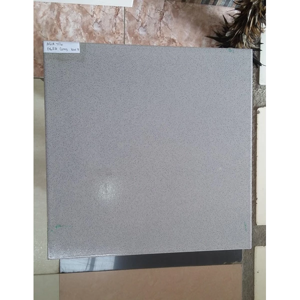 Ceramic Floor Asia Tile Ocra Grey