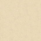 Granito Salsa Crystal White Sand 60x60 Polished 1