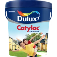 Catylac Dulux Exterior 5kg