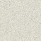 Granit Valentino Gress Puglia Light Grey 60x60 1